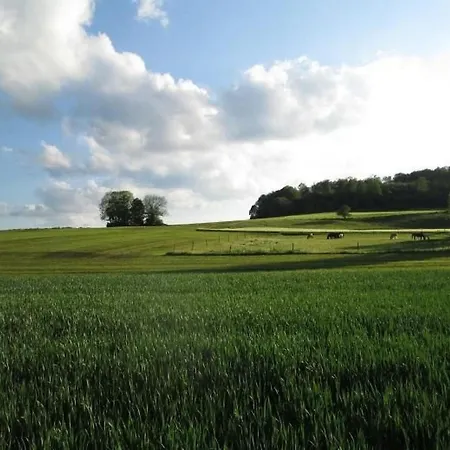 Wunderschoenes In By Interhome * Zainingen